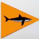 drapeau orange requin